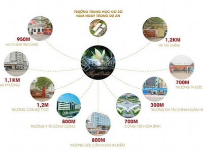 The Jade Orchid Project, Vietnam The Jade Orchid Project, Vietnam