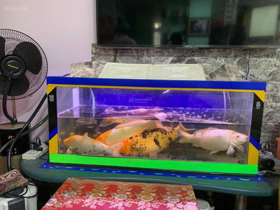 Tan Tao A Ward Tan Tao A Ward