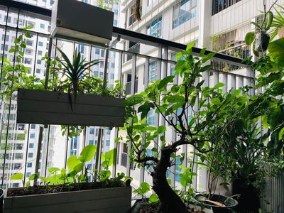 Goldmark City, Vietnam  Goldmark City, Vietnam