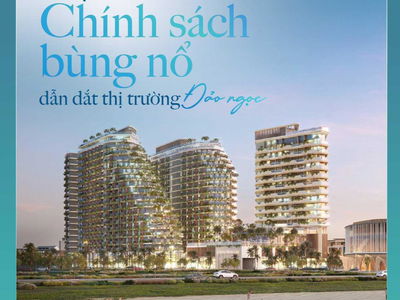 Meyhomes Capital Project, Vietnam Meyhomes Capital Project, Vietnam