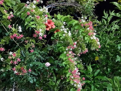 The CBD Premium Home, Vietnam The CBD Premium Home, Vietnam