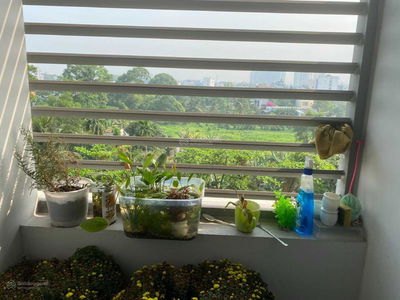 Lavita Charm, Vietnam Lavita Charm, Vietnam