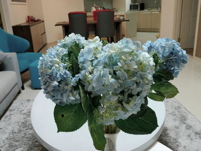 Imperia An Phu, Vietnam Imperia An Phu, Vietnam