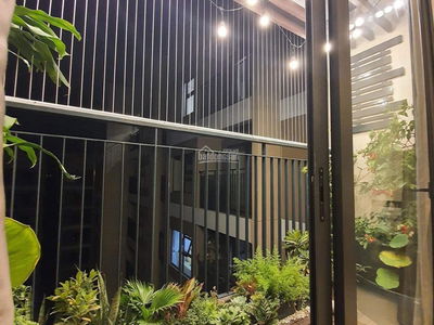 6th Element Project, Vietnam  6th Element Project, Vietnam