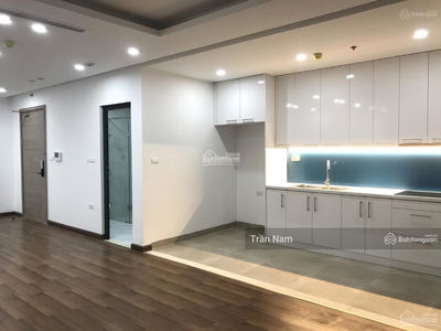 The Golden Armor Project, Vietnam  The Golden Armor Project, Vietnam