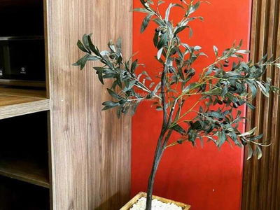 Sunrise City, Vietnam  Sunrise City, Vietnam