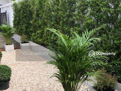 Sukhumvit 65, Bangkok, Thailand Sukhumvit 65, Bangkok, Thailand