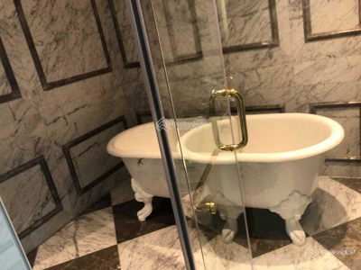 The Golden Armor, Vietnam The Golden Armor, Vietnam