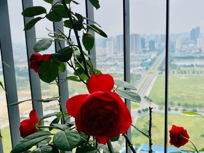 Chung cư Han Jardin, Vietnam Chung cư Han Jardin, Vietnam