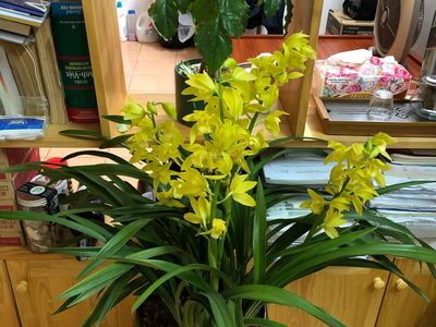 Жилье в Hanoi, Vietnam  Жилье в Hanoi, Vietnam