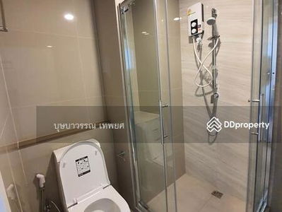 The Tree Sukhumvit 71-Ekamai, Bangkok, Thailand The Tree Sukhumvit 71-Ekamai, Bangkok, Thailand