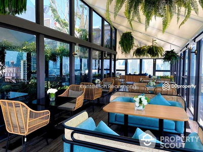 Siamese Exclusive Queens, Bangkok, Thailand Siamese Exclusive Queens, Bangkok, Thailand