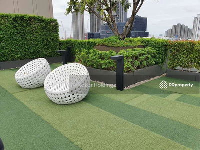 The Tree Sukhumvit 64, Bangkok, Thailand The Tree Sukhumvit 64, Bangkok, Thailand