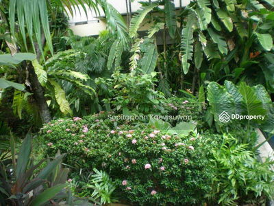 MSI III Garden, Bangkok, Thailand MSI III Garden, Bangkok, Thailand