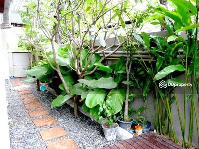 House In Thonglor For Rent, Bangkok, Thailand House In Thonglor For Rent, Bangkok, Thailand