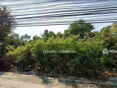 Land for rent Borommaratchachonnani, Nakhon Pathom, Thailand Land for rent Borommaratchachonnani, Nakhon Pathom, Thailand