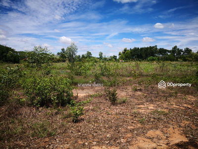LSR-008 Non Soong Subdistrict, Mueang District, Udonthani Province, Udon Thani : Non Soong Subdistrict, Mueang District, Udonthani Province, Udon Thani, Thailand LSR-008 Non Soong Subdistrict, Mueang District, Udonthani Province, Udon Thani : Non Soong Subdistrict, Mueang District, Udonthani Province, Udon Thani, Thailand