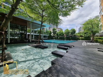 Ficus Lane, Bangkok, Thailand Ficus Lane, Bangkok, Thailand