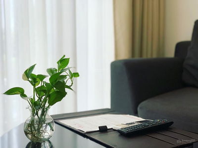 Scenic Valley 1, Vietnam Scenic Valley 1, Vietnam