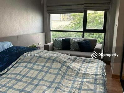 Tree Condo Sukhumvit 50, Bangkok, Thailand Tree Condo Sukhumvit 50, Bangkok, Thailand