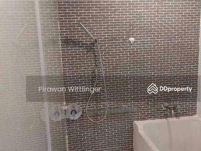 Siamese Gioia, Bangkok, Thailand Siamese Gioia, Bangkok, Thailand