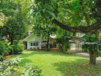 Single house for rent in Soi Sukhumvit 20. (SPSAM872), Bangkok., Thailand Single house for rent in Soi Sukhumvit 20. (SPSAM872), Bangkok., Thailand