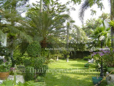 Single house for rent with private garden and swimming pool in Phaholyothin 40., Bangkok, Thailand Single house for rent with private garden and swimming pool in Phaholyothin 40., Bangkok, Thailand