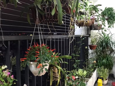 6th Element, Vietnam 6th Element, Vietnam