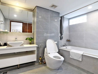 81, Vietnam 81, Vietnam