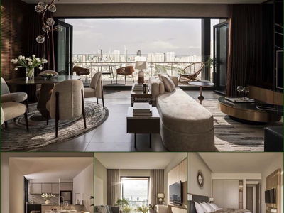 Zenity, Vietnam Zenity, Vietnam