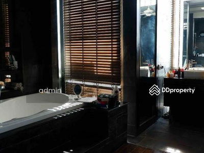 Ficus Lane, Bangkok, Thailand Ficus Lane, Bangkok, Thailand