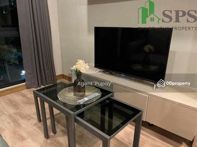 Condo for rent The Ace Ekkamai (SPSAM874), Bangkok, Thailand Condo for rent The Ace Ekkamai (SPSAM874), Bangkok, Thailand