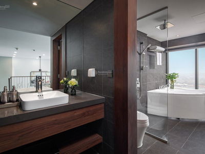 PentStudio, Vietnam PentStudio, Vietnam