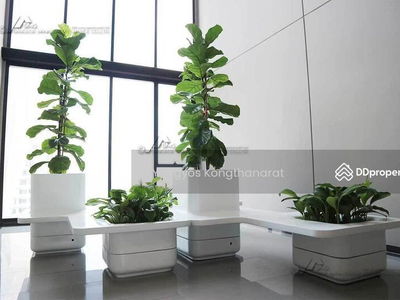 ASHTON Asoke, Bangkok, Thailand ASHTON Asoke, Bangkok, Thailand