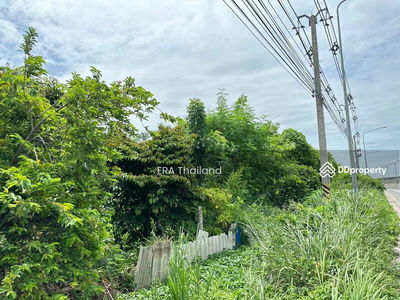 L079864 Empty land for sale, land size 6-0-169.00 rai, Bang Lamung, Chon Buri, Chon Buri, Thailand L079864 Empty land for sale, land size 6-0-169.00 rai, Bang Lamung, Chon Buri, Chon Buri, Thailand
