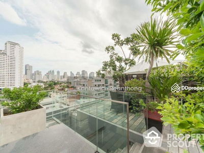 Siamese Gioia, Bangkok, Thailand Siamese Gioia, Bangkok, Thailand