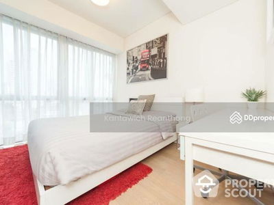 Siamese Gioia, Bangkok, Thailand Siamese Gioia, Bangkok, Thailand