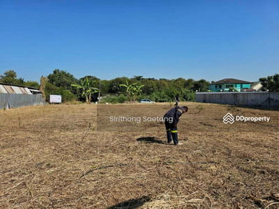Land has been filled in, 365 square wah, Soi Ruamchit, Bang Waek Road, Bang Phai Subdistrict, Bang Khae District, near the Blue Skytrain, Lak Song, Bangkok., Thailand Land has been filled in, 365 square wah, Soi Ruamchit, Bang Waek Road, Bang Phai Subdistrict, Bang Khae District, near the Blue Skytrain, Lak Song, Bangkok., Thailand