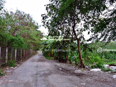 Land for rent Next to Phahonyothin Road, inbound side, area 4-3-52 rai, Khlong Nueng Subdistrict, Khlong Luang, opposite Thammasat University, Pathum Thani., Thailand Land for rent Next to Phahonyothin Road, inbound side, area 4-3-52 rai, Khlong Nueng Subdistrict, Khlong Luang, opposite Thammasat University, Pathum Thani., Thailand