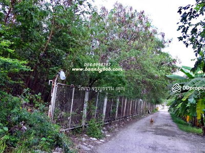 Land for rent Next to Phahonyothin Road, inbound side, area 4-3-52 rai, Khlong Nueng Subdistrict, Khlong Luang, opposite Thammasat University, Pathum Thani., Thailand Land for rent Next to Phahonyothin Road, inbound side, area 4-3-52 rai, Khlong Nueng Subdistrict, Khlong Luang, opposite Thammasat University, Pathum Thani., Thailand