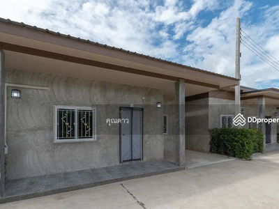 ASRP0463, Chiang Mai, Thailand ASRP0463, Chiang Mai, Thailand