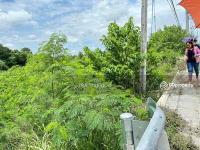 L079866 Empty land for sale, land size 8-0-39.00 rai, Bang Lamung, Chon Buri, Chon Buri, Thailand L079866 Empty land for sale, land size 8-0-39.00 rai, Bang Lamung, Chon Buri, Chon Buri, Thailand