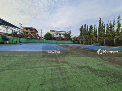 Empty land for rent, next to the road, Soi Thian Talay 10, Rama 2, 272 wa, suitable for business, Bangkok, Thailand Empty land for rent, next to the road, Soi Thian Talay 10, Rama 2, 272 wa, suitable for business, Bangkok, Thailand