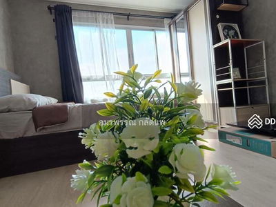 Elio Del Mos Phaholyothin 34, Bangkok, Thailand Elio Del Mos Phaholyothin 34, Bangkok, Thailand