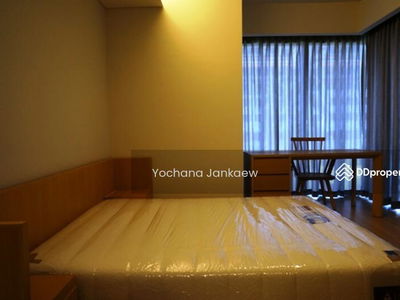 Siamese Gioia, Bangkok, Thailand Siamese Gioia, Bangkok, Thailand