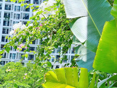 Royal City, Vietnam  Royal City, Vietnam