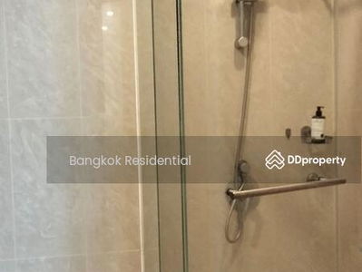 Ficus Lane, Bangkok, Thailand Ficus Lane, Bangkok, Thailand