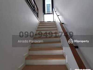 Flora Marigold, Bangkok, Thailand Flora Marigold, Bangkok, Thailand