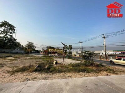 Nong Chok, Bangkok, Thailand Nong Chok, Bangkok, Thailand