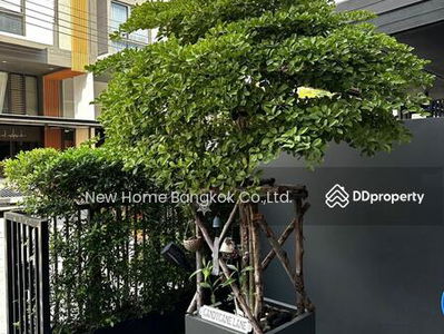 Homey Style Townhouse for Rent in Pattanakarn, Bangkok, Thailand Homey Style Townhouse for Rent in Pattanakarn, Bangkok, Thailand